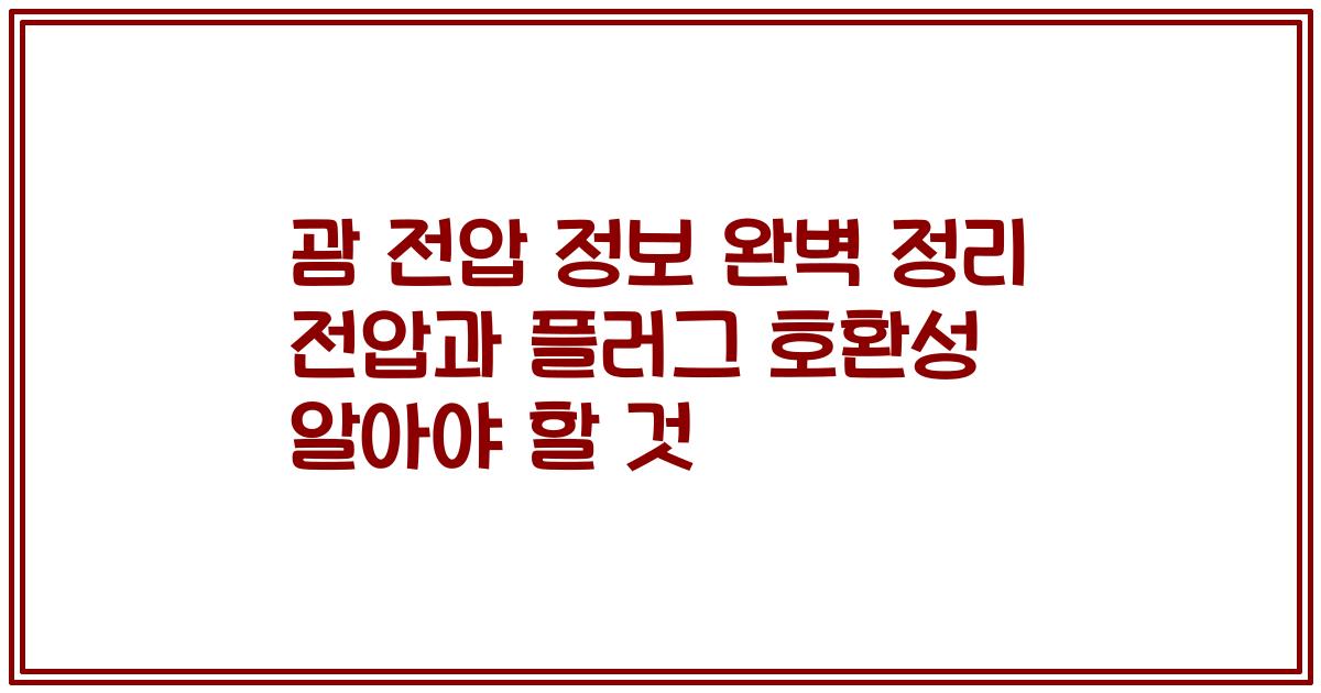 괌 전압 정보 완벽 정리 전압과 플러그 호환성 알아야 할 것